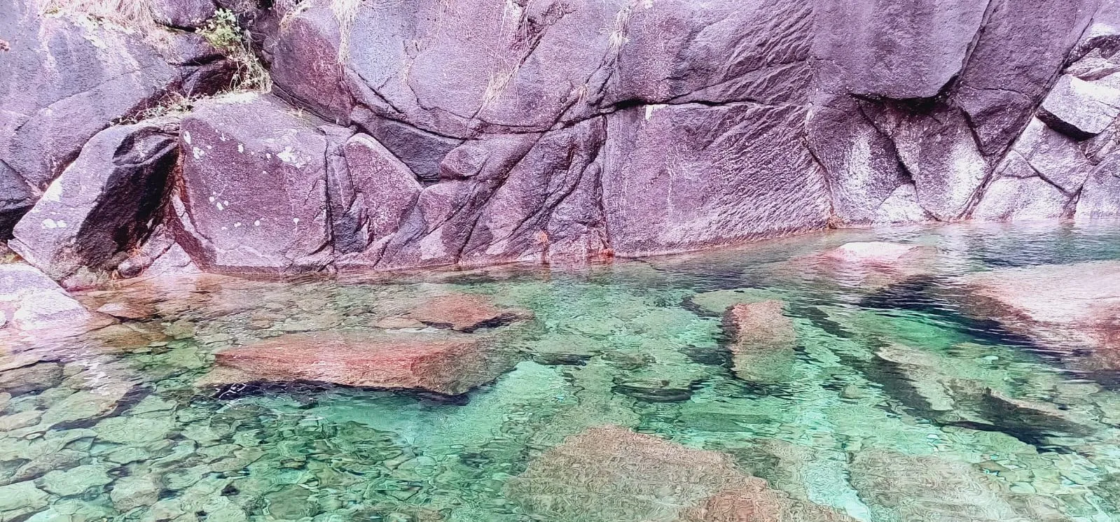 Análisis de Código