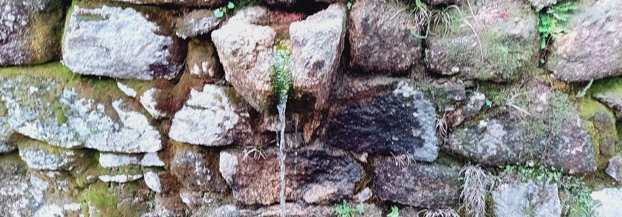 Análisis de Código