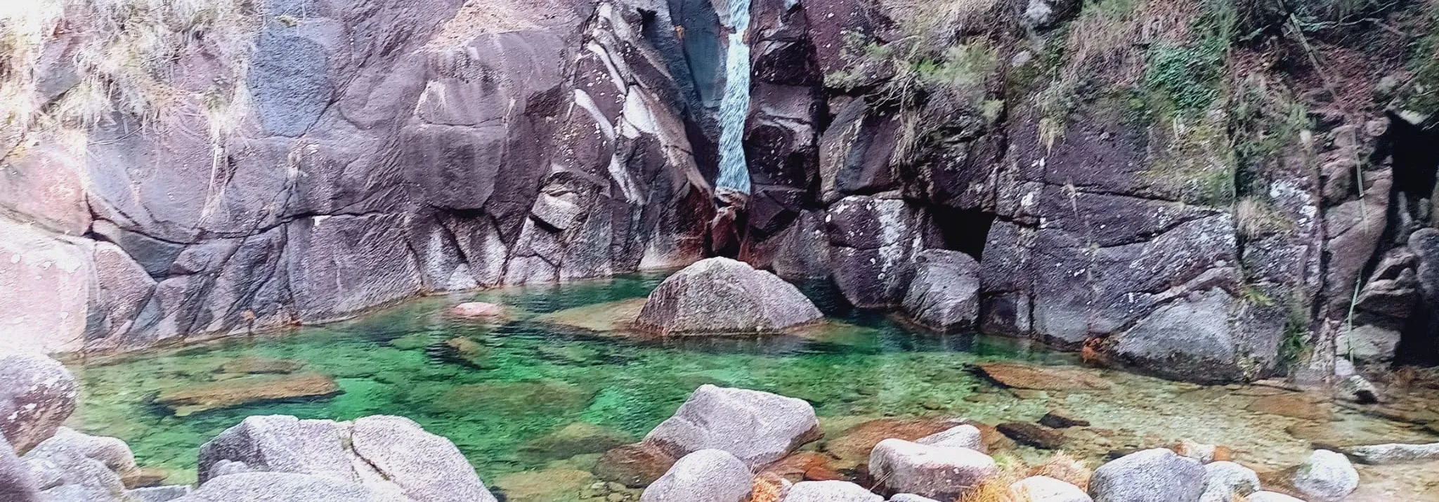 Análisis de Código